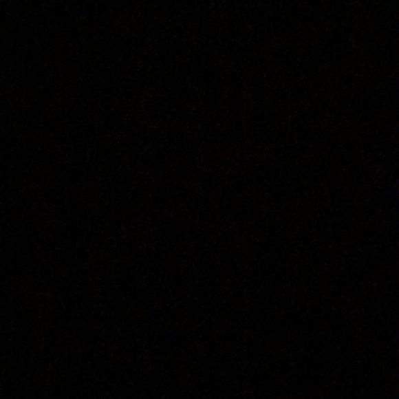 daniellafigu397